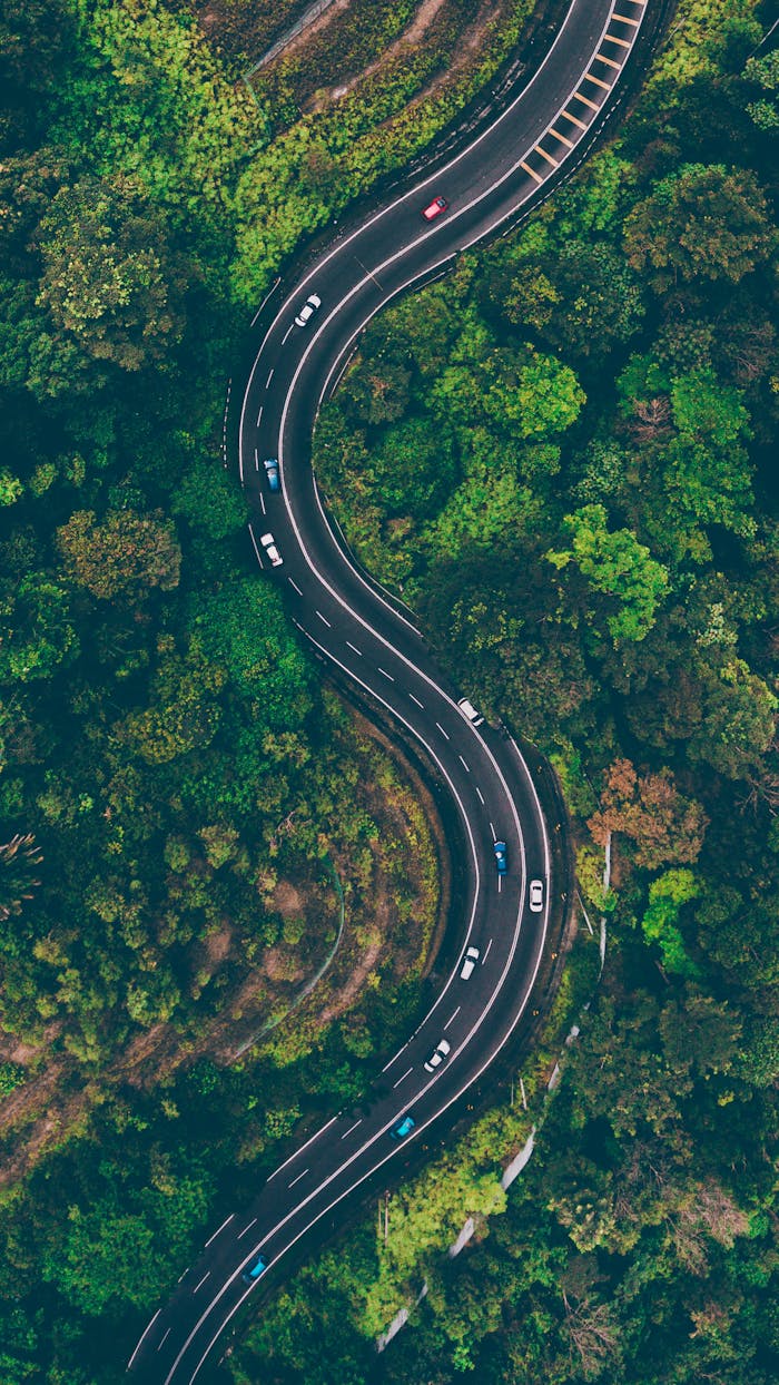 Crafting Captivating Headlines: Your awesome post title goes here A sweeping aerial view of an S-shaped road winding through vibrant green Malaysian forest.